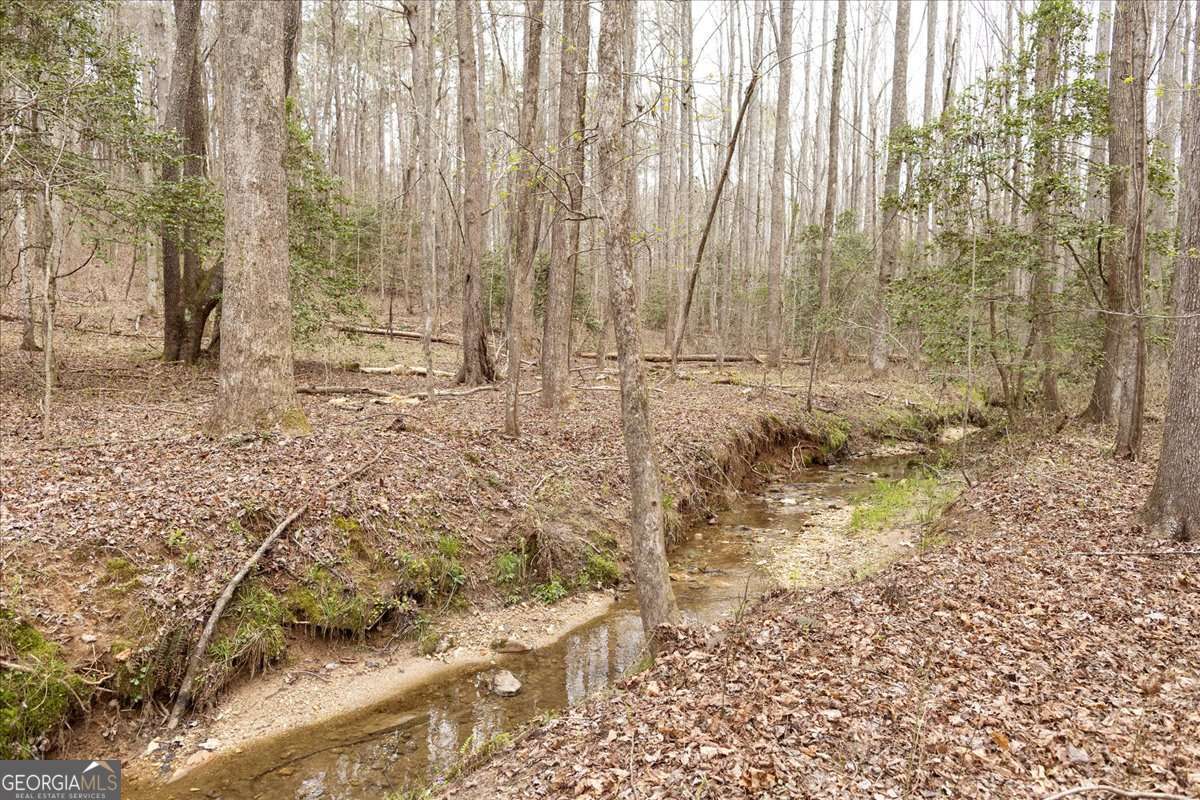 unimproved land for sale at 0 Reagan Road, Dawsonville, GA 30534 — photo 3
