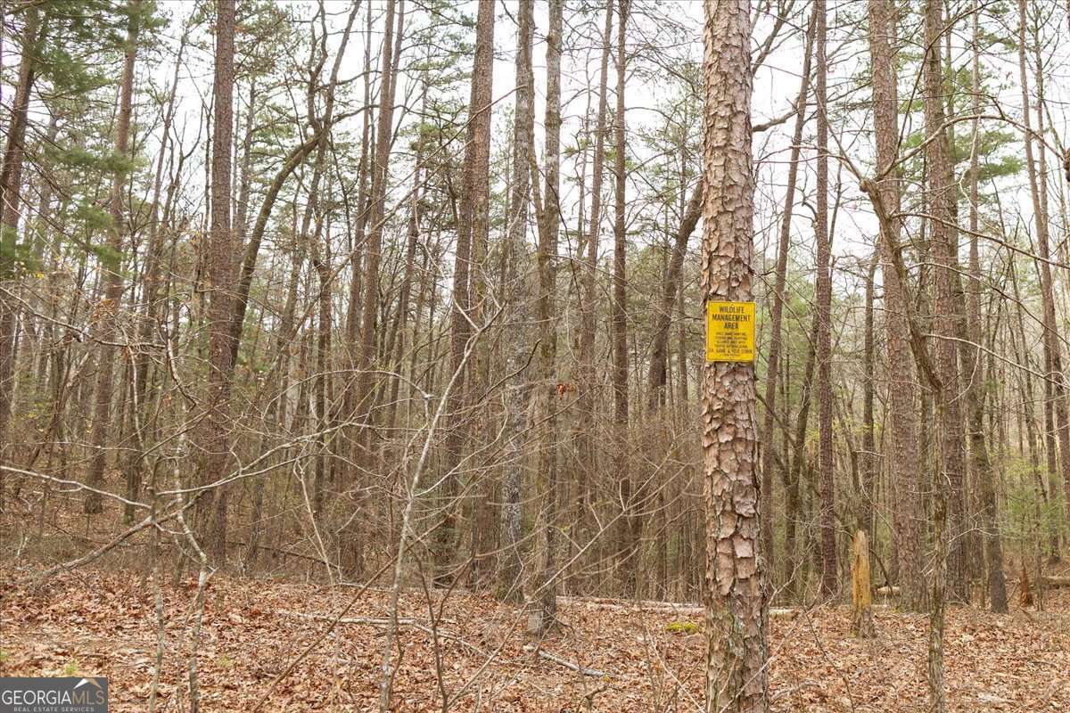 unimproved land for sale at 0 Reagan Road, Dawsonville, GA 30534 — photo 9