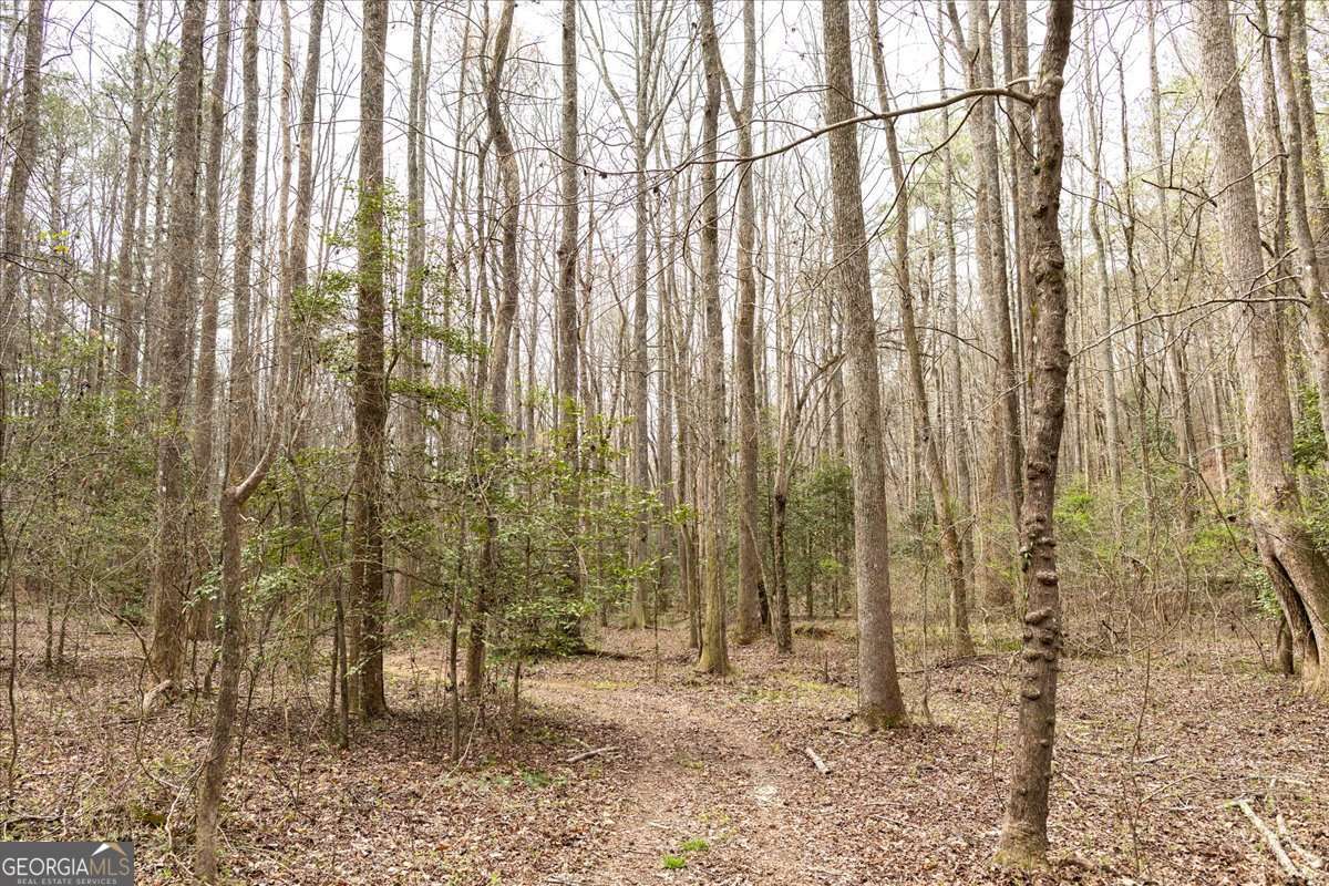 unimproved land for sale at 0 Reagan Road, Dawsonville, GA 30534 — photo 10