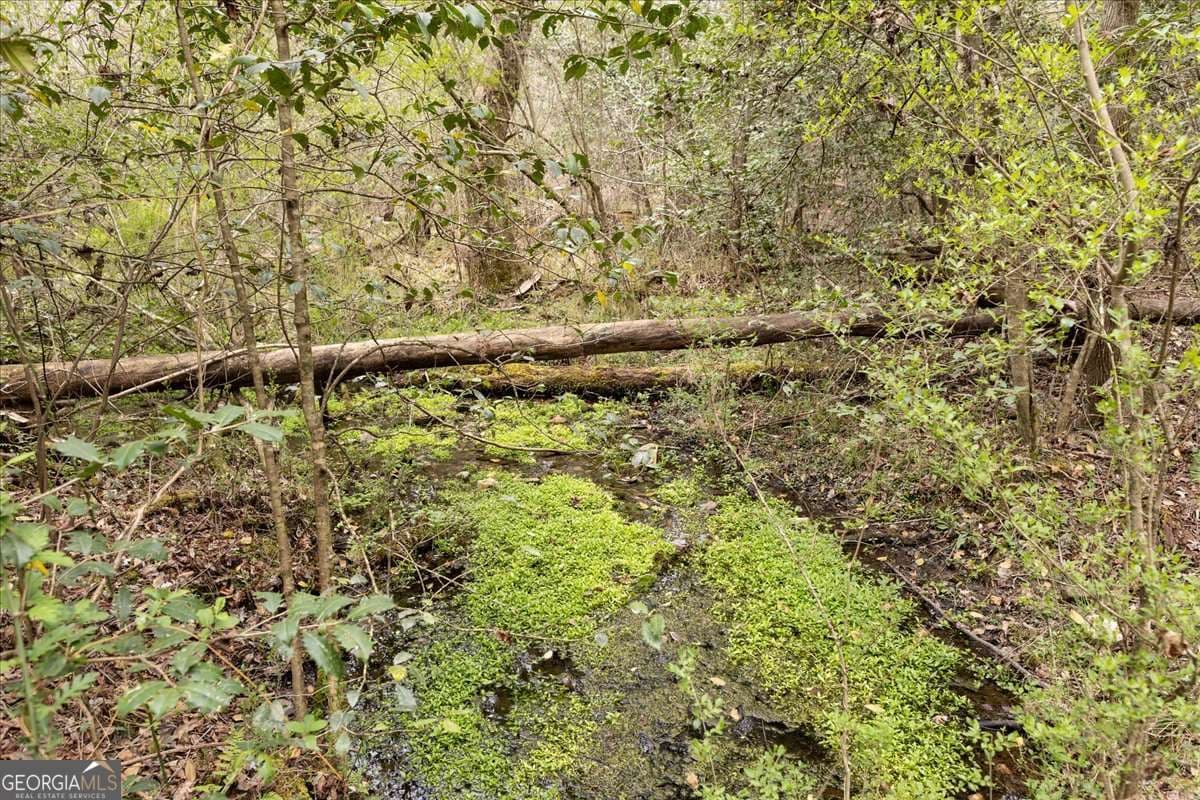 unimproved land for sale at 0 Reagan Road, Dawsonville, GA 30534 — photo 4