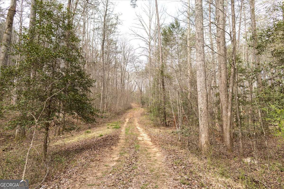 unimproved land for sale at 0 Reagan Road, Dawsonville, GA 30534 — photo 8