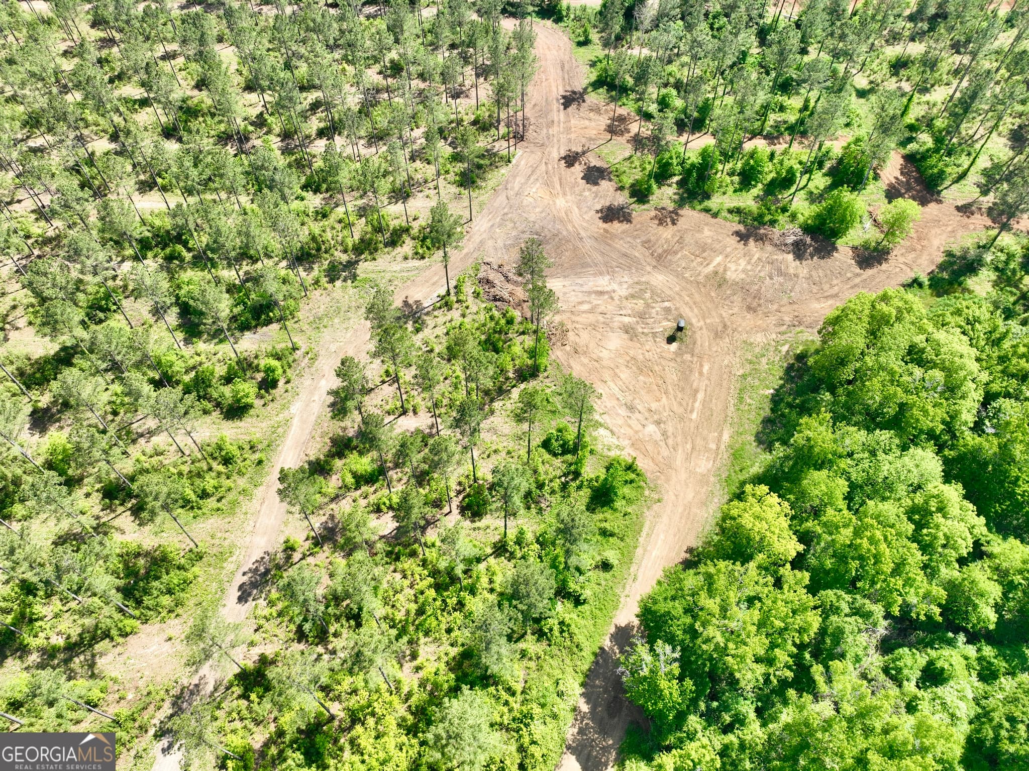 agriculture for sale at 0 Poplar Springs Road, Byromville, GA 31007 — photo 2