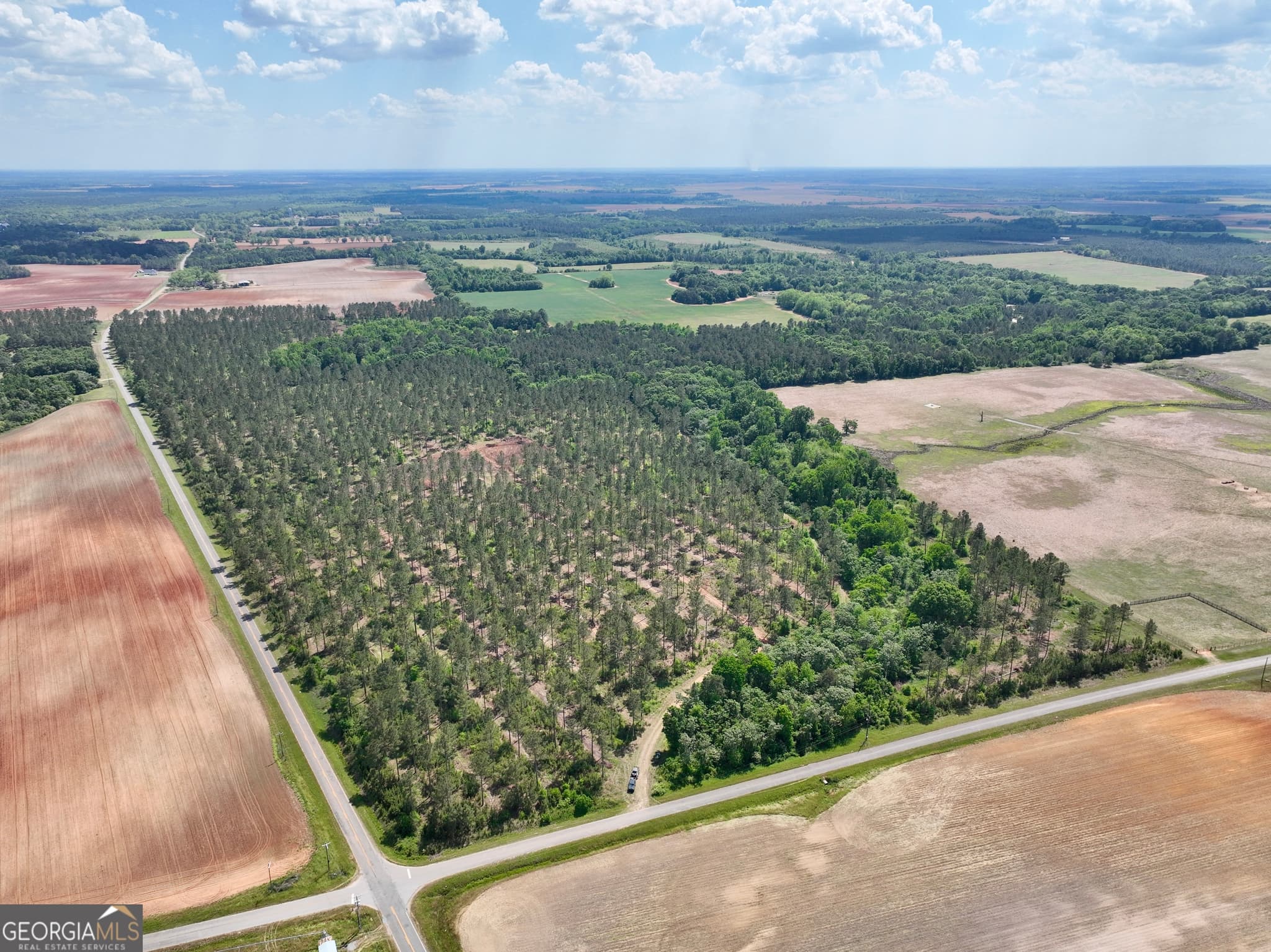agriculture for sale at 0 Poplar Springs Road, Byromville, GA 31007 — photo 6