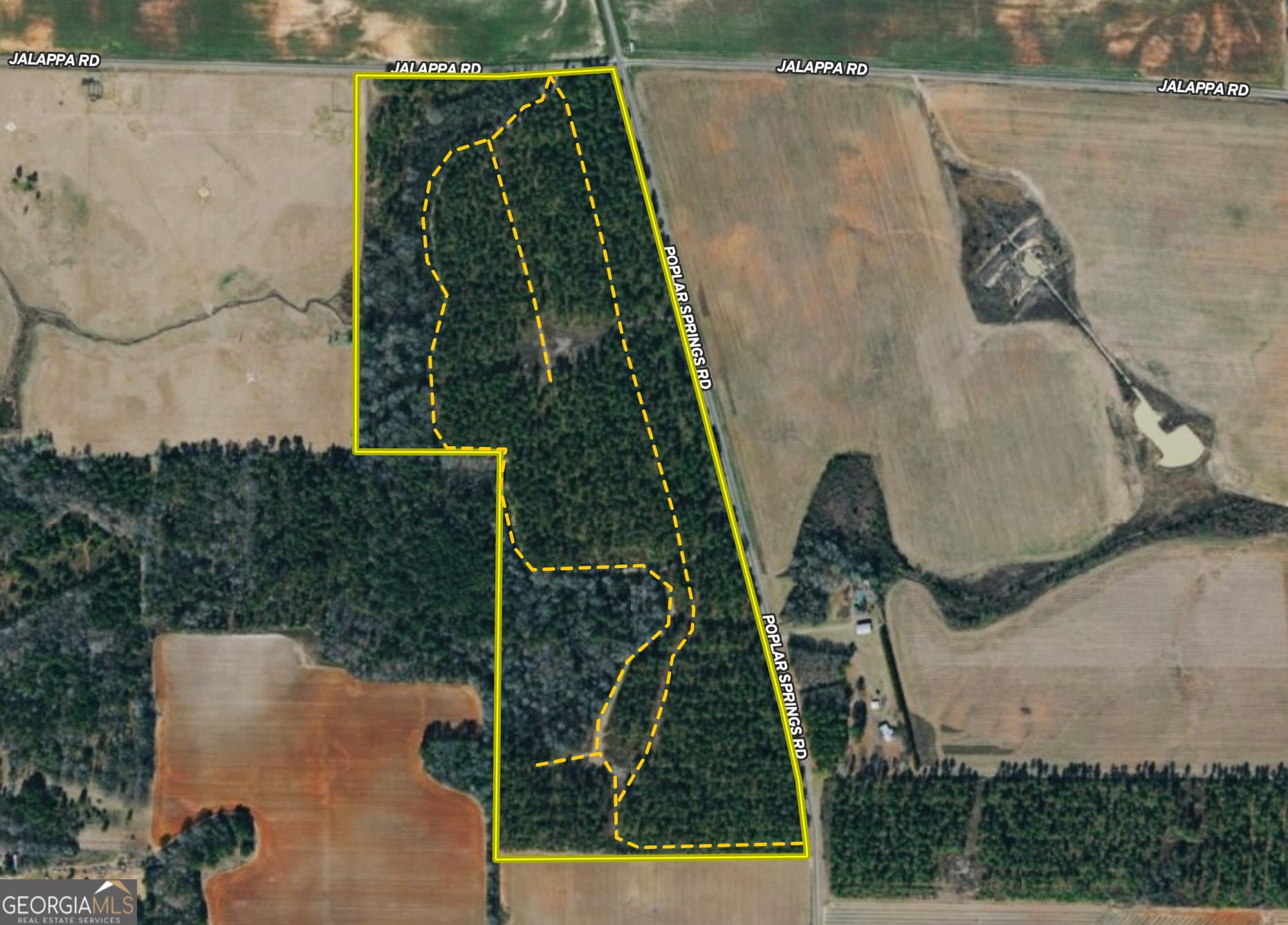 agriculture for sale at 0 Poplar Springs Road, Byromville, GA 31007 — photo 7