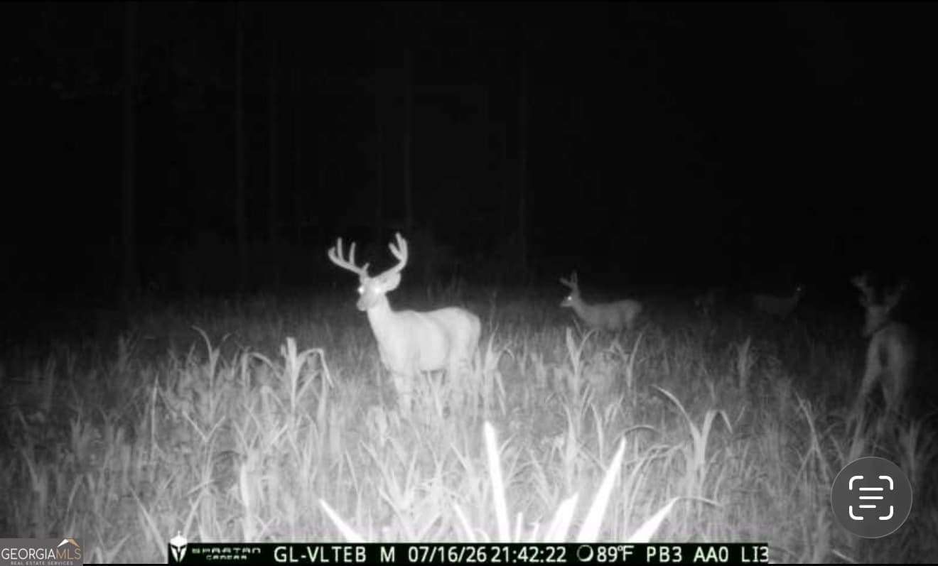 agriculture for sale at 0 Poplar Springs Road, Byromville, GA 31007 — photo 3