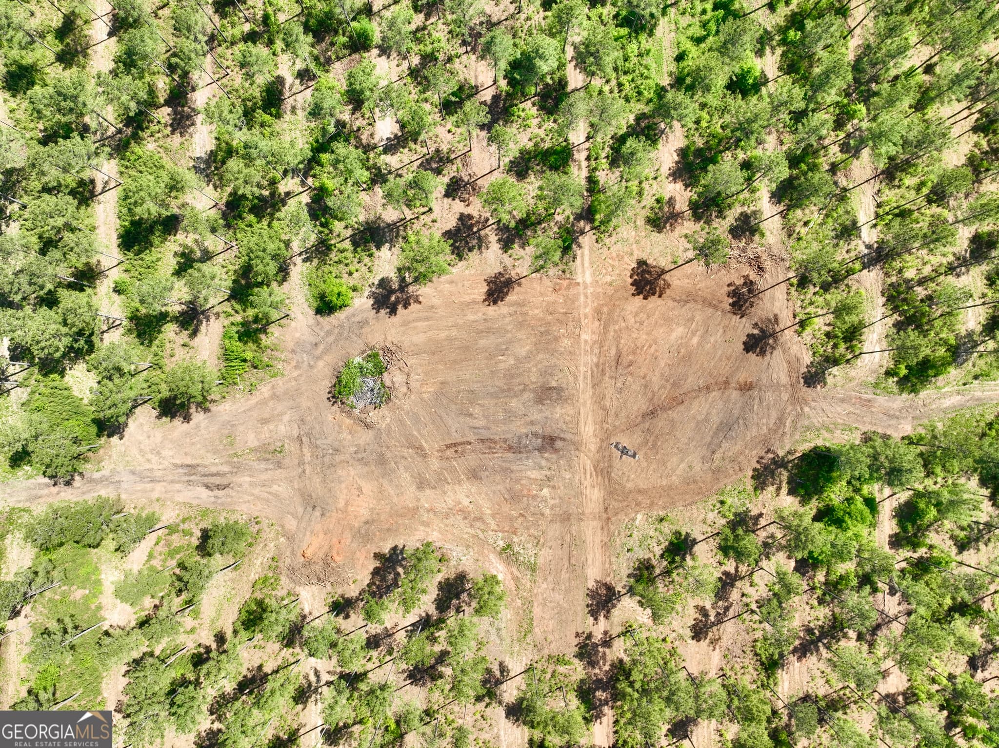 agriculture for sale at 0 Poplar Springs Road, Byromville, GA 31007 — photo 5