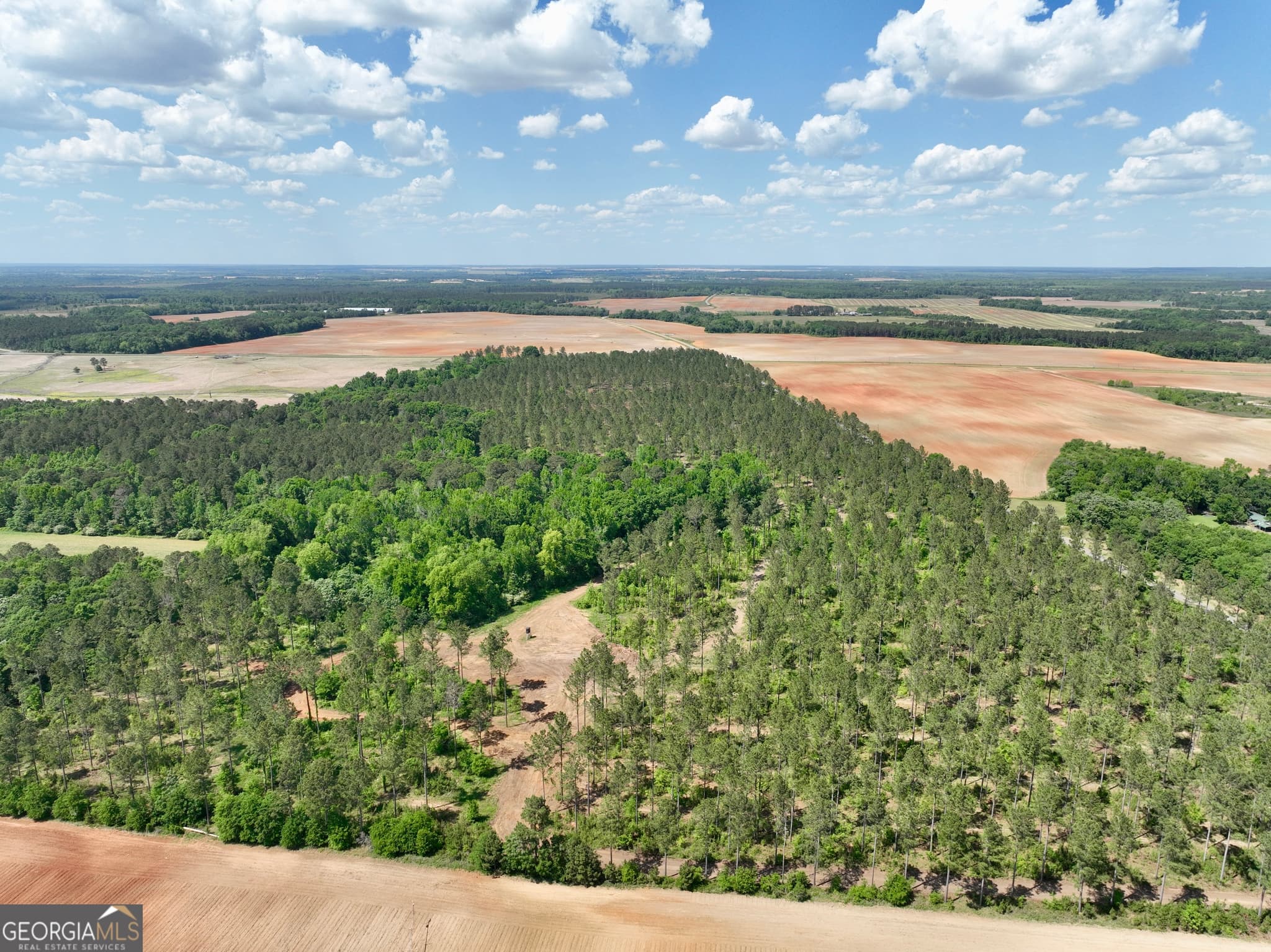 agriculture for sale at 0 Poplar Springs Road, Byromville, GA 31007 — photo 9