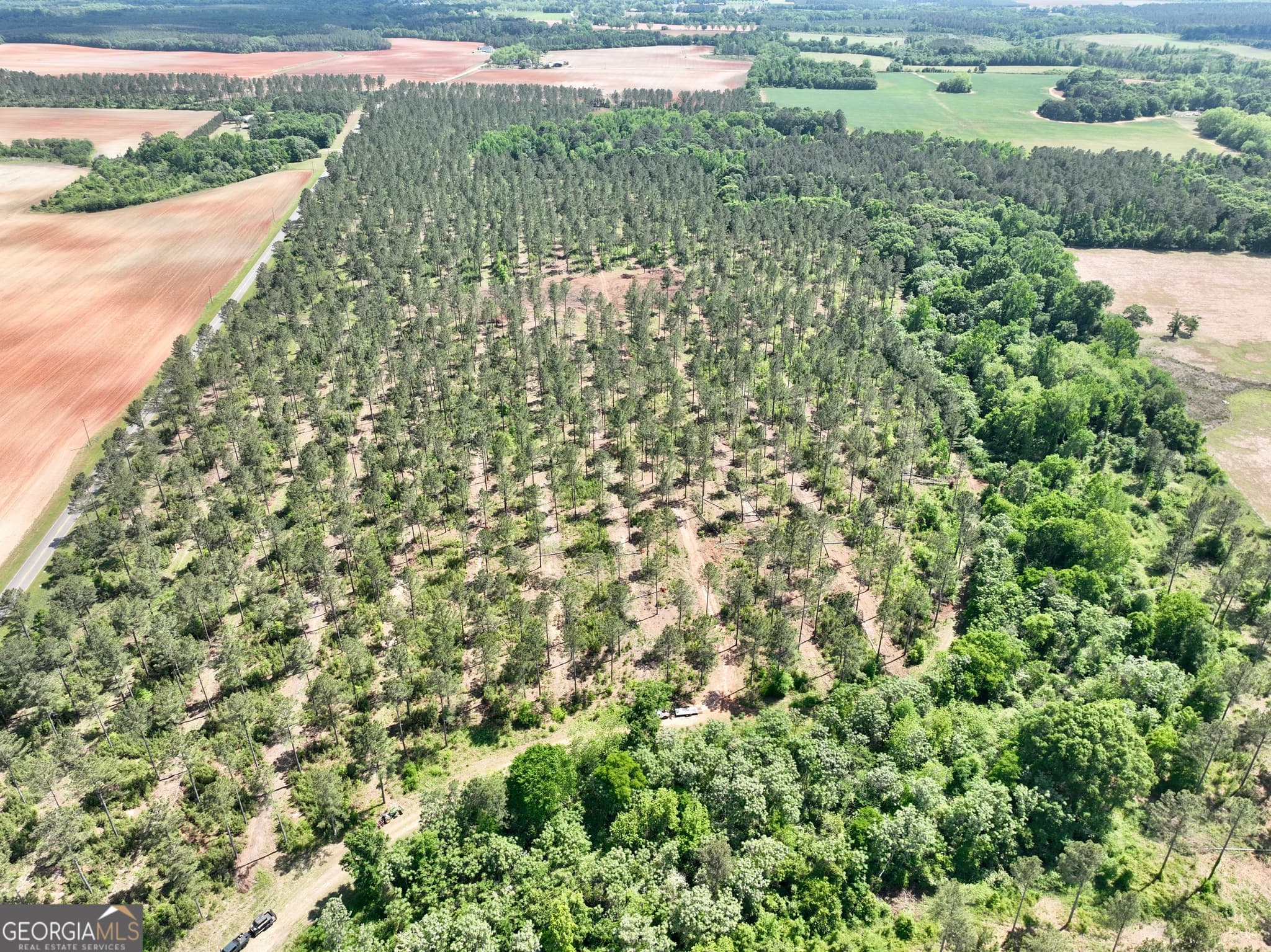 agriculture for sale at 0 Poplar Springs Road, Byromville, GA 31007 — photo 10