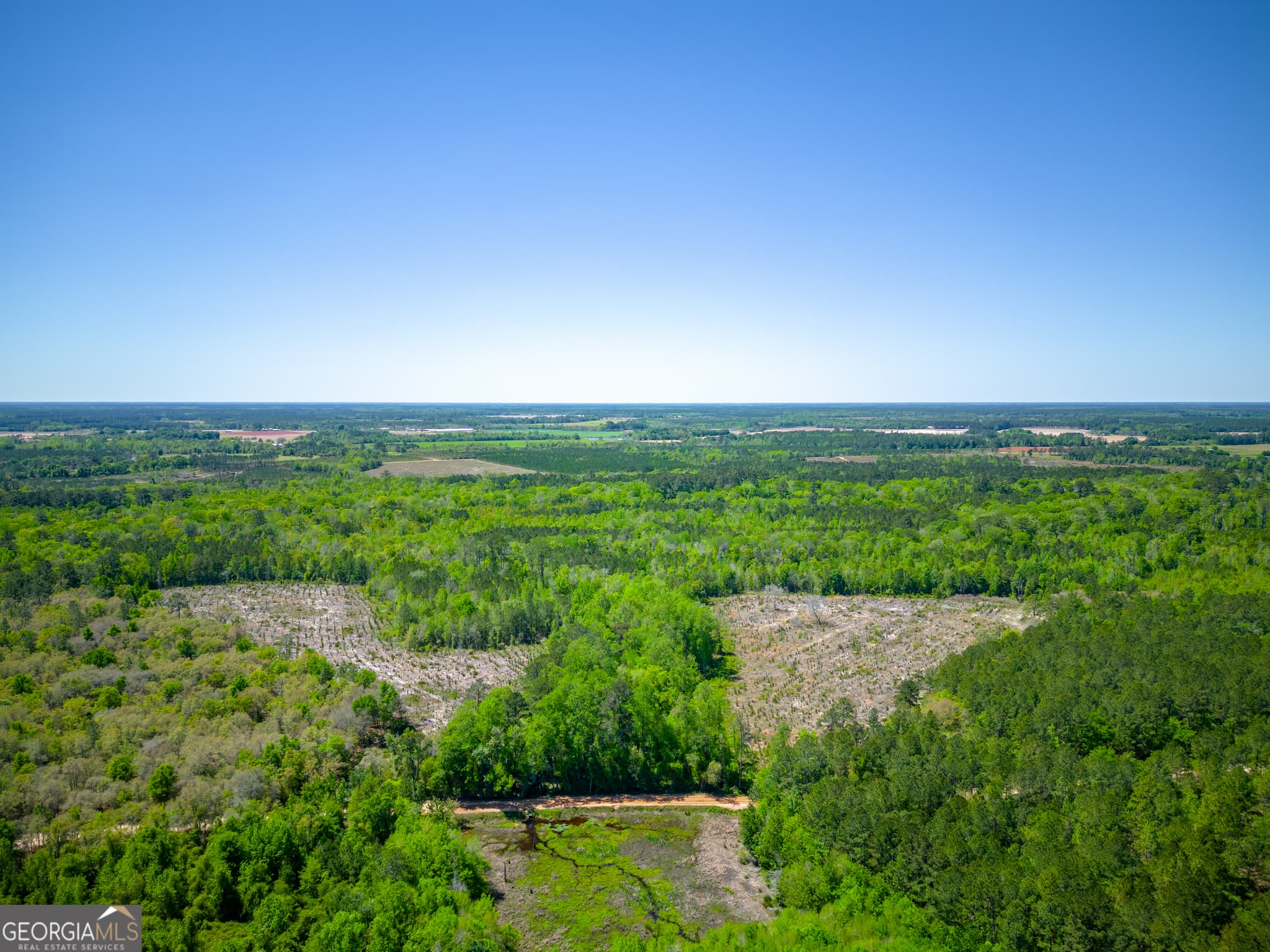 agriculture sold at 0 Ward Boyette Road, Bristol, GA 31518