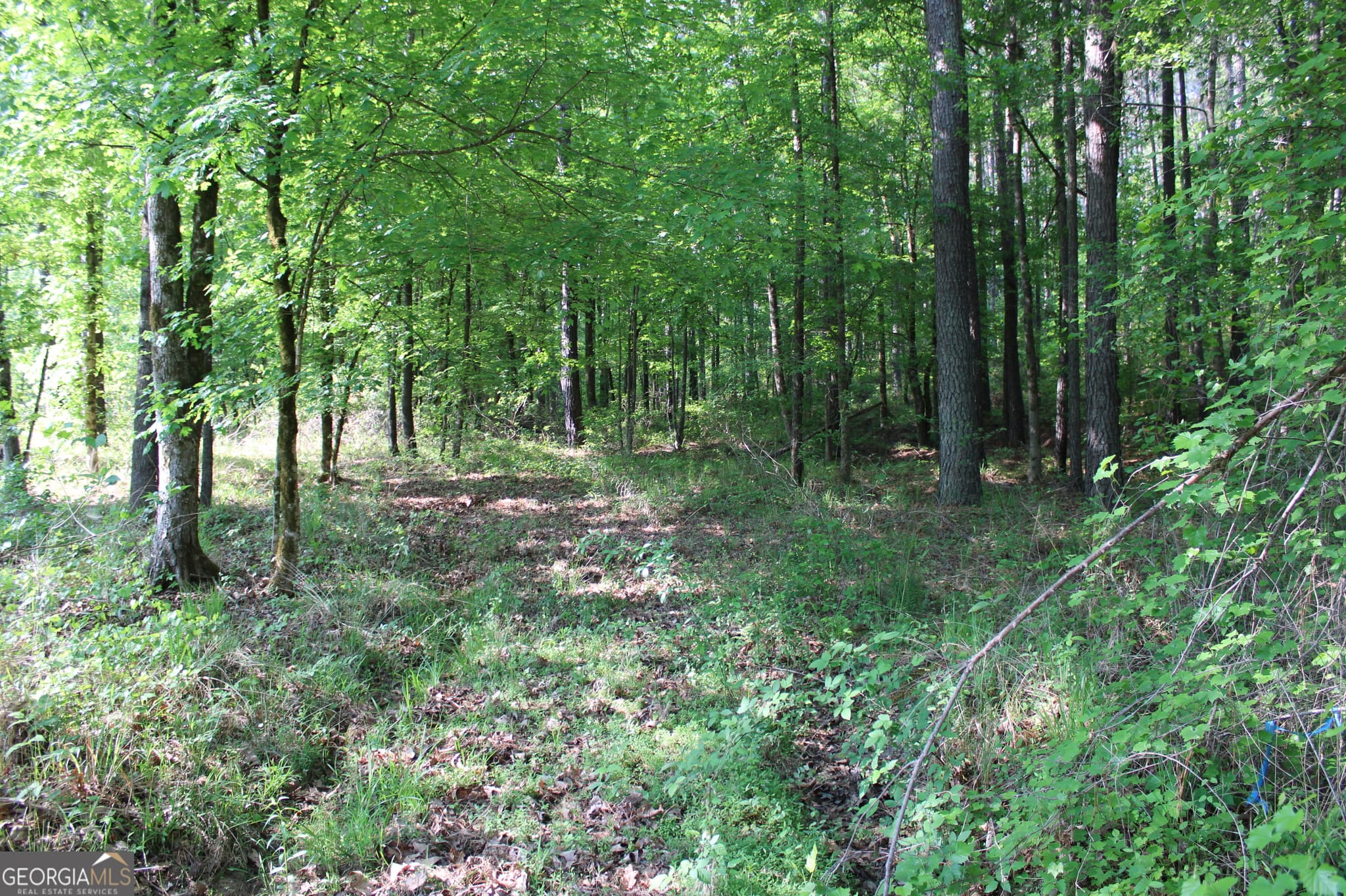 agriculture for sale at 0 Ga Hwy 87 Tract 1, Forsyth, GA 31029 — photo 2