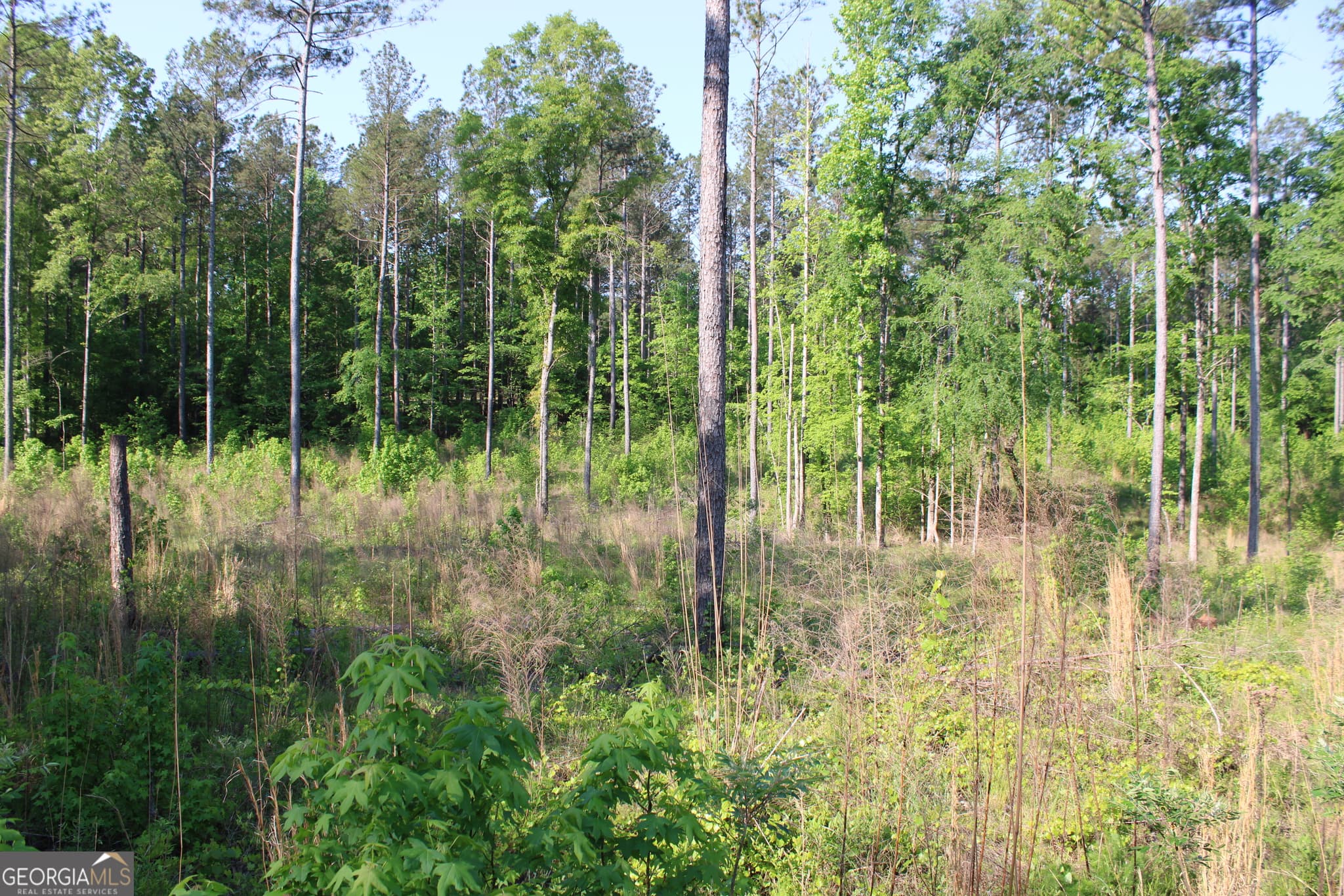 agriculture for sale at 0 Ga Hwy 87 Tract 1, Forsyth, GA 31029 — photo 6