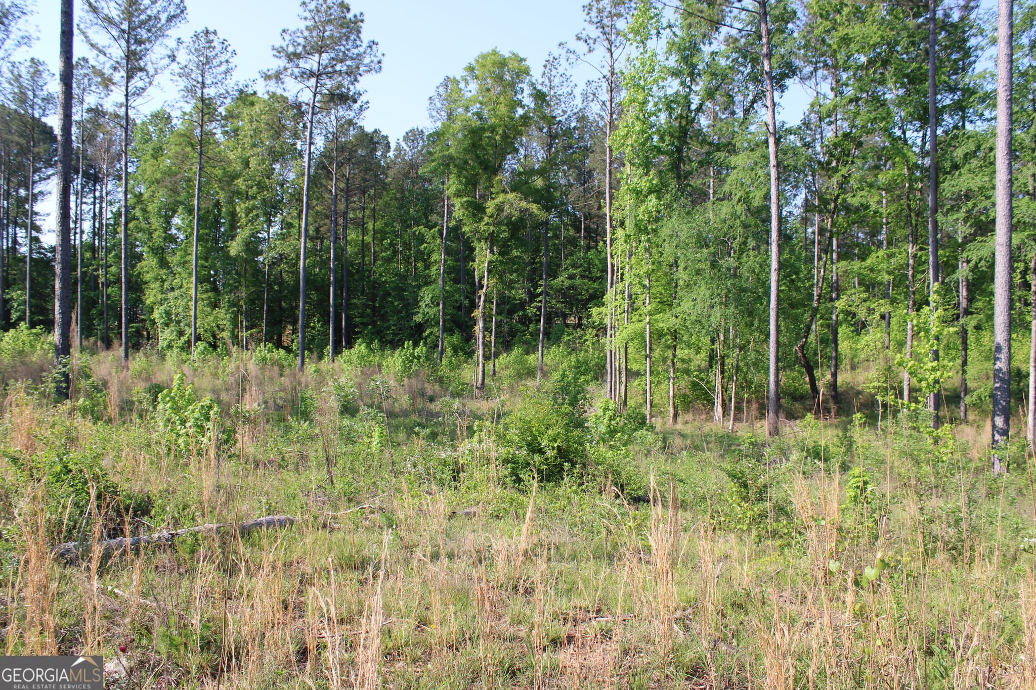 agriculture for sale at 0 Ga Hwy 87 Tract 1, Forsyth, GA 31029 — photo 7