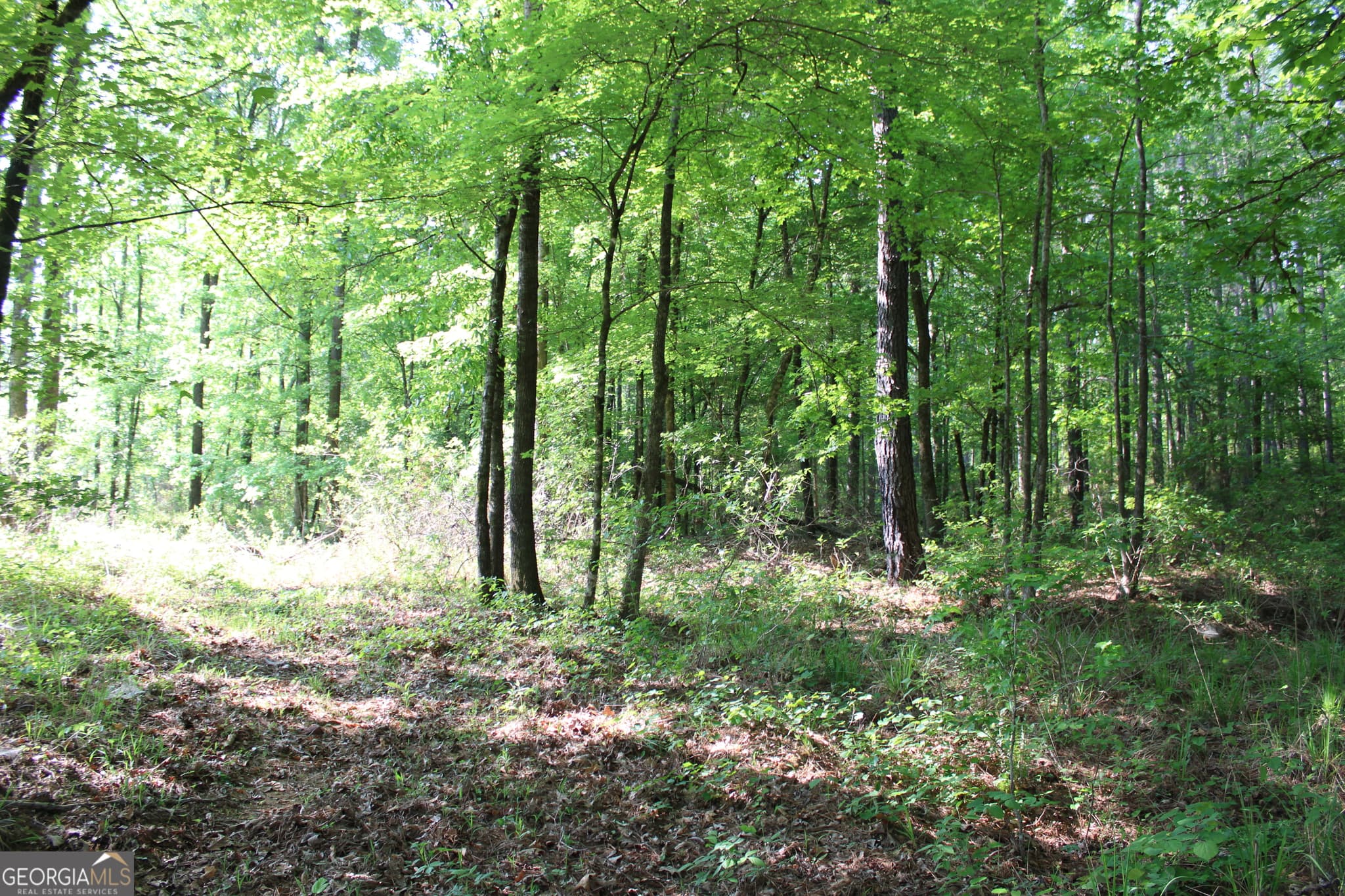 agriculture for sale at 0 Ga Hwy 87 Tract 1, Forsyth, GA 31029