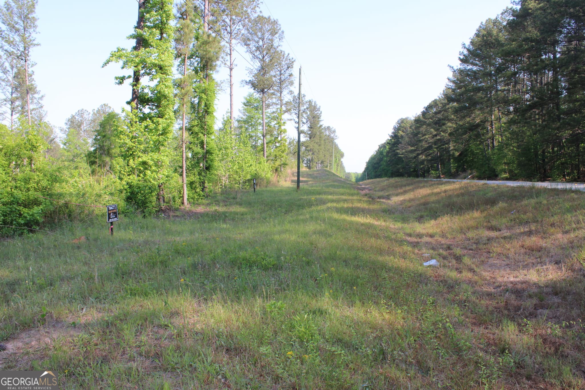 agriculture for sale at 0 Ga Hwy 87 Tract 1, Forsyth, GA 31029 — photo 5