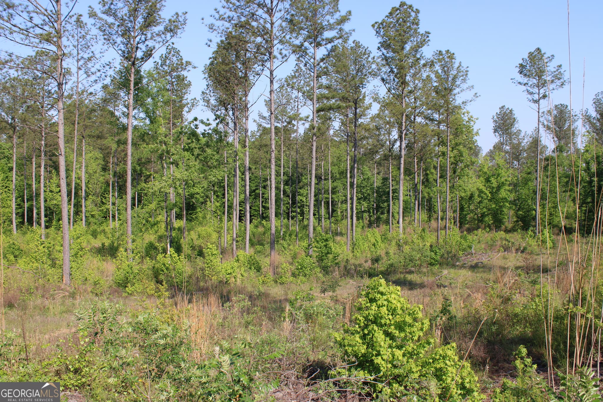 agriculture for sale at 0 Ga Hwy 87 Tract 1, Forsyth, GA 31029 — photo 9