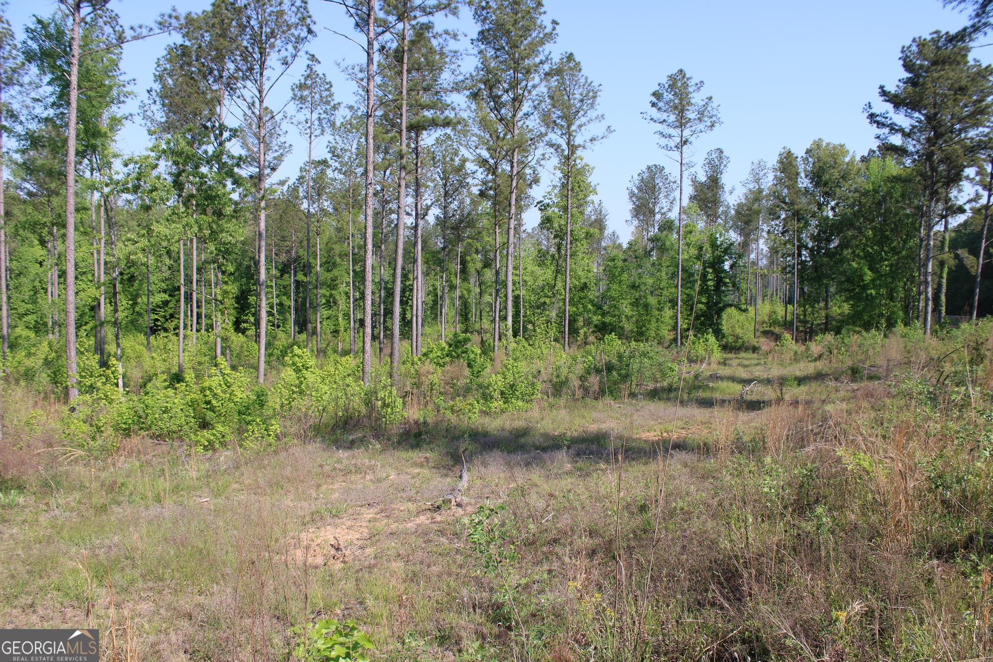 agriculture for sale at 0 Ga Hwy 87 Tract 1, Forsyth, GA 31029 — photo 10