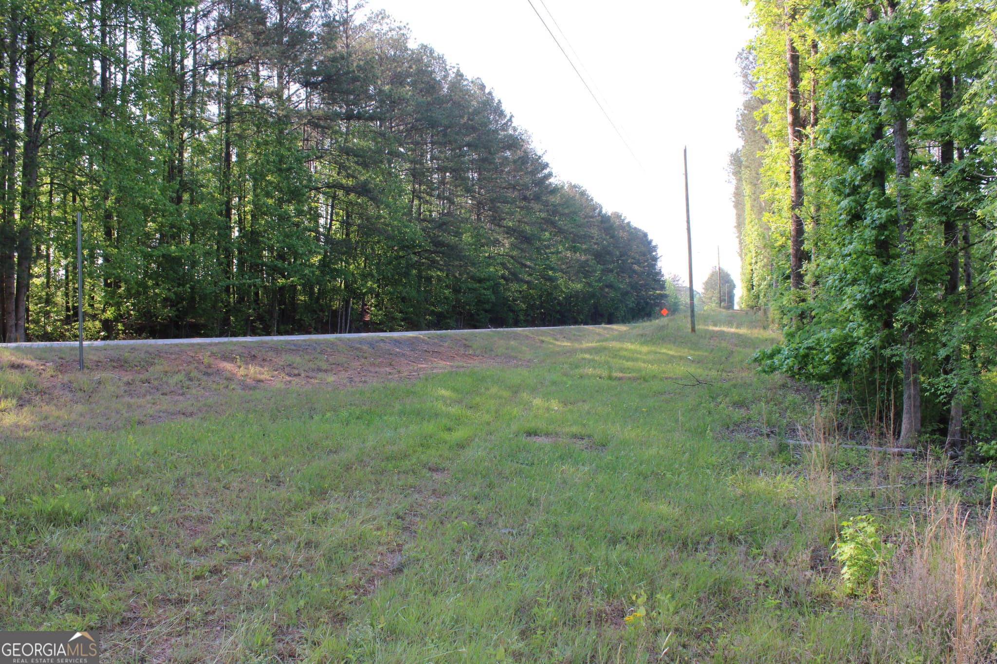 agriculture for sale at 0 Ga Hwy 87 Tract 1, Forsyth, GA 31029 — photo 4