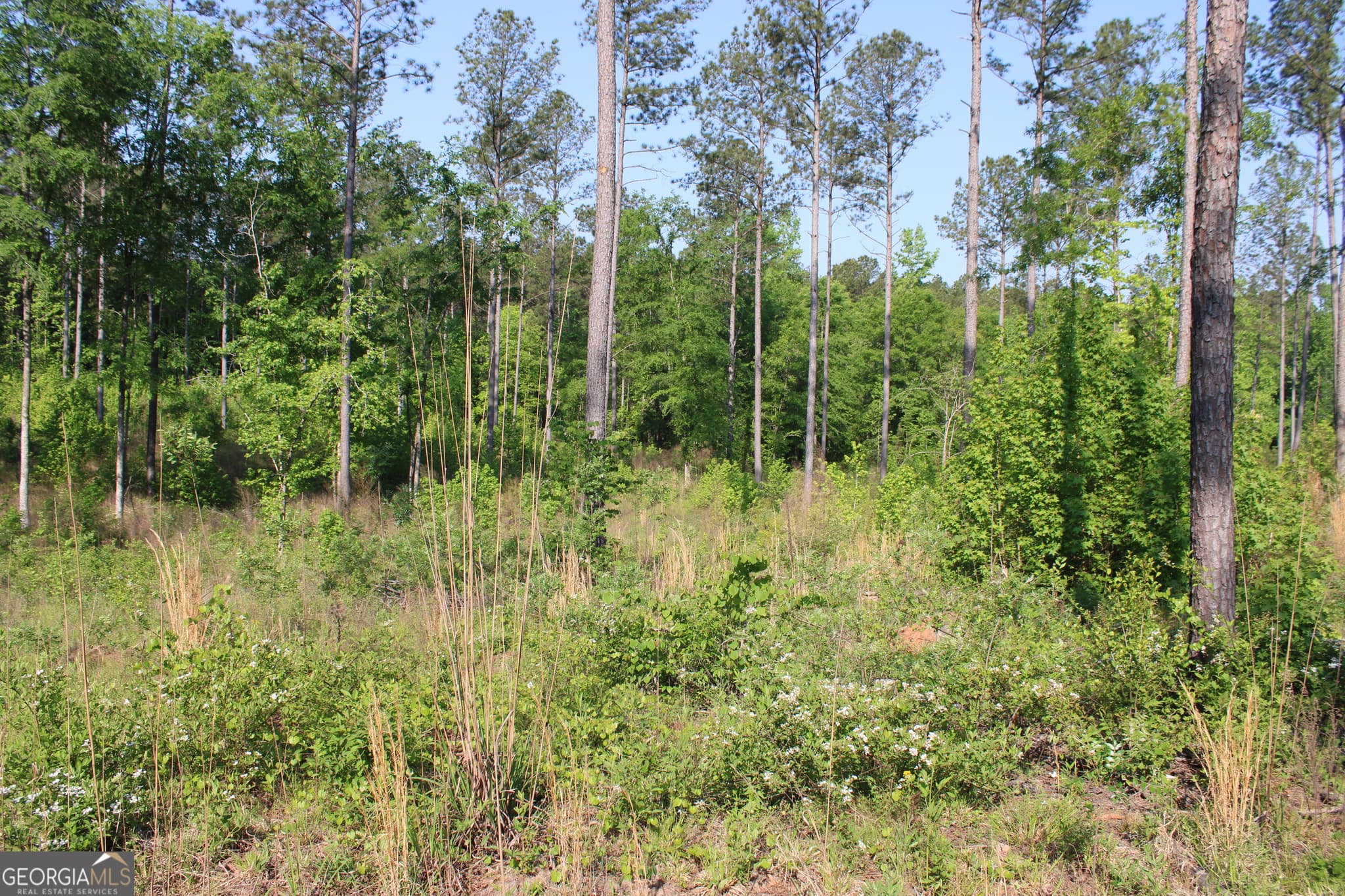 agriculture for sale at 0 Ga Hwy 87 Tract 1, Forsyth, GA 31029 — photo 8