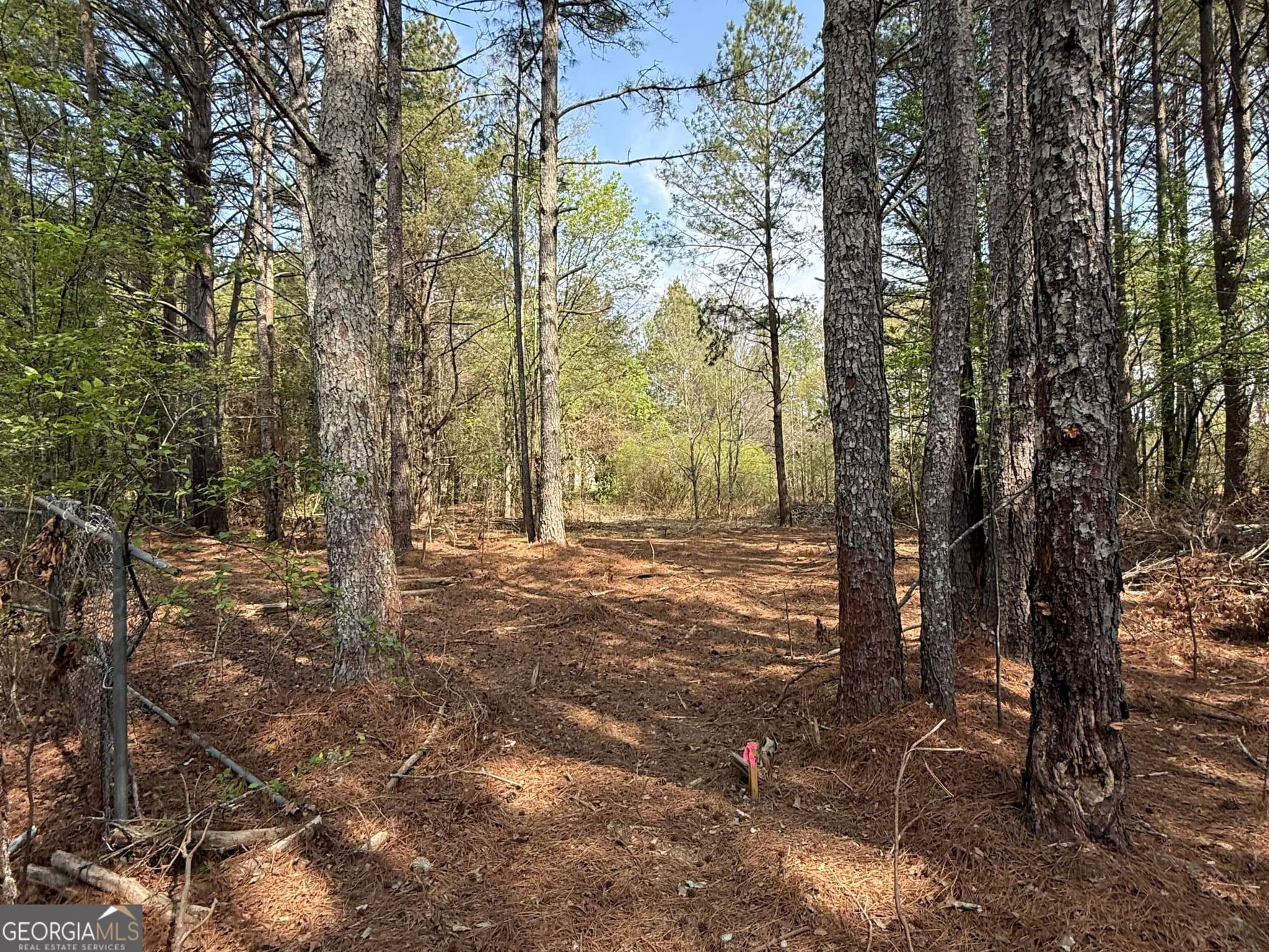 residential lot for sale at 265 W Union Grove Circle, Auburn, GA 30011 — photo 2