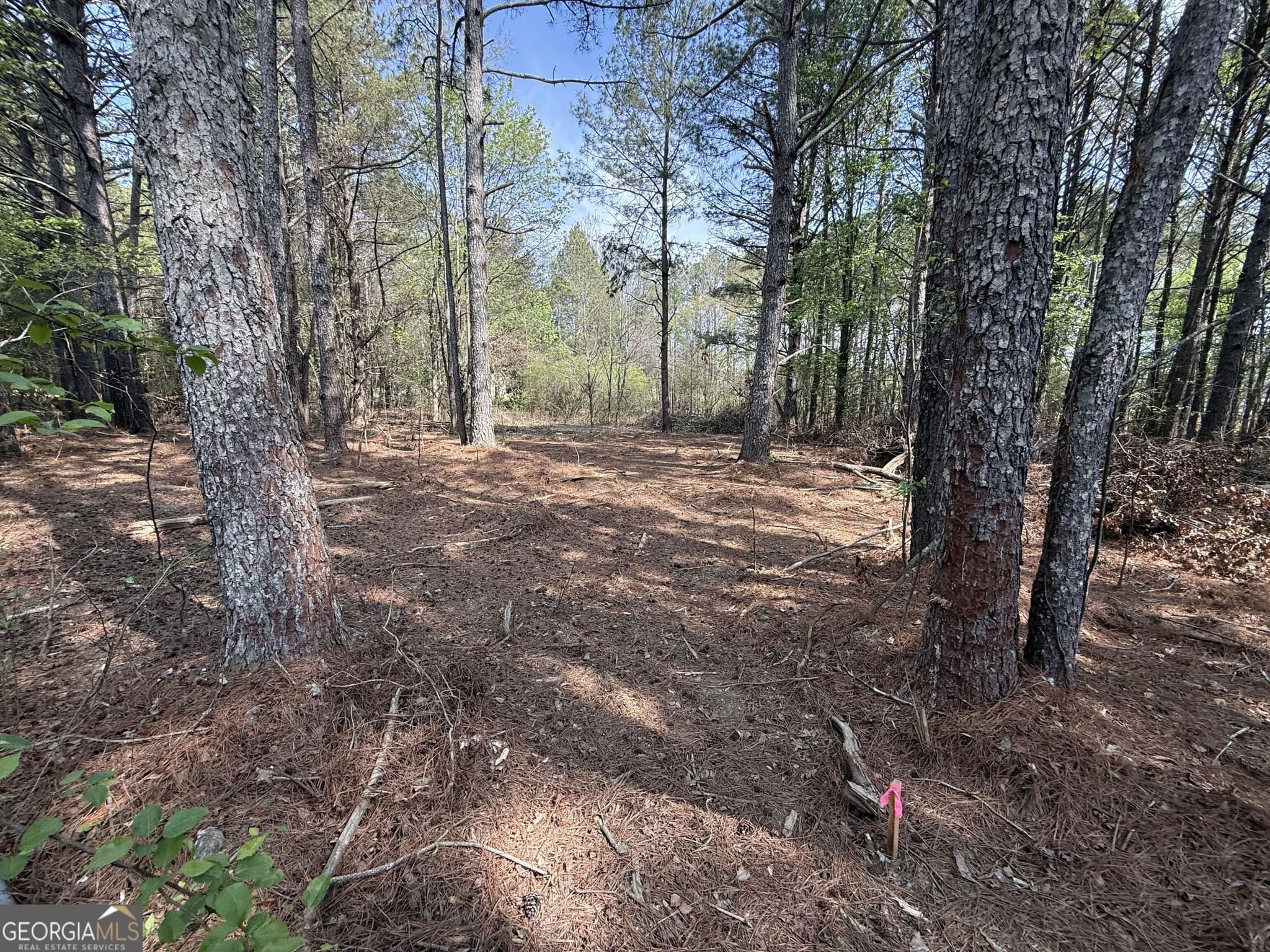 residential lot for sale at 265 W Union Grove Circle, Auburn, GA 30011 — photo 4