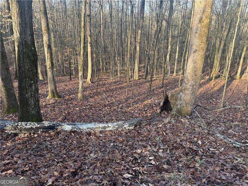 unimproved land for sale at 0 Indian Creek Trail, Madison, GA 30650 — photo 2