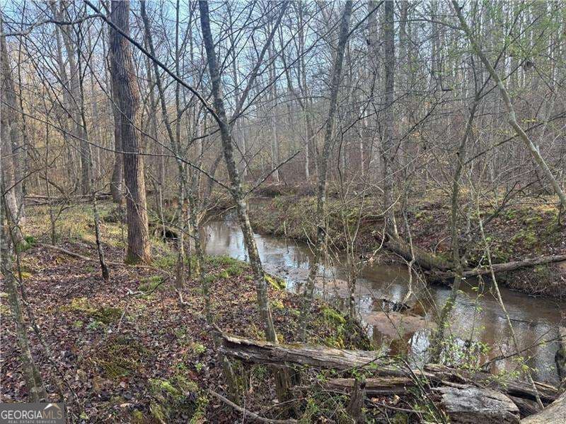 unimproved land for sale at 0 Indian Creek Trail, Madison, GA 30650 — photo 6