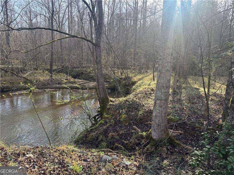 unimproved land for sale at 0 Indian Creek Trail, Madison, GA 30650 — photo 7