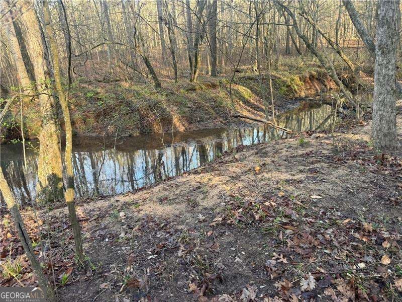 unimproved land for sale at 0 Indian Creek Trail, Madison, GA 30650 — photo 3