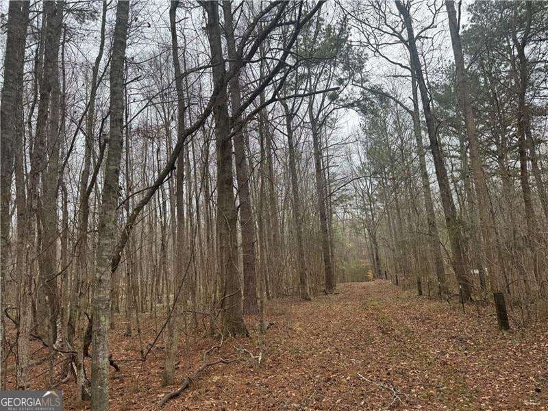 unimproved land for sale at 0 Indian Creek Trail, Madison, GA 30650 — photo 1 of 16