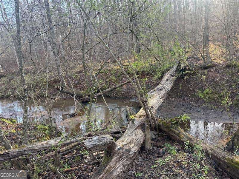 unimproved land for sale at 0 Indian Creek Trail, Madison, GA 30650 — photo 5
