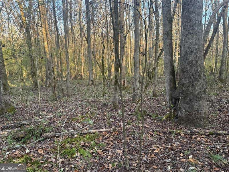 unimproved land for sale at 0 Indian Creek Trail, Madison, GA 30650 — photo 9