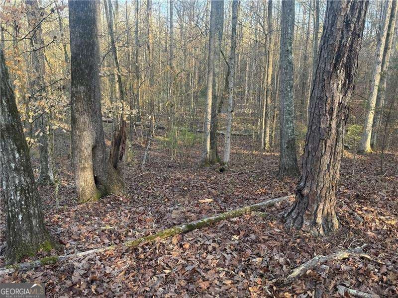 unimproved land for sale at 0 Indian Creek Trail, Madison, GA 30650 — photo 10