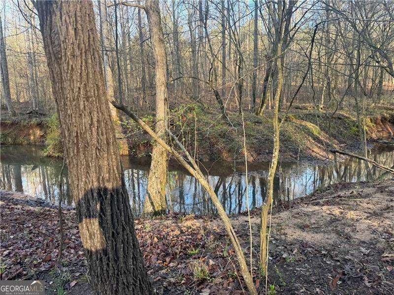 unimproved land for sale at 0 Indian Creek Trail, Madison, GA 30650 — photo 4