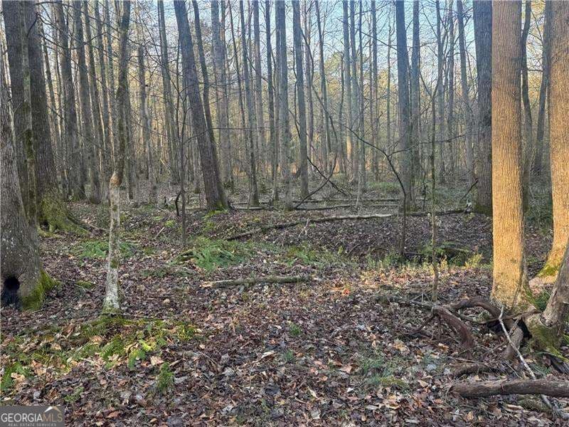 unimproved land for sale at 0 Indian Creek Trail, Madison, GA 30650 — photo 8