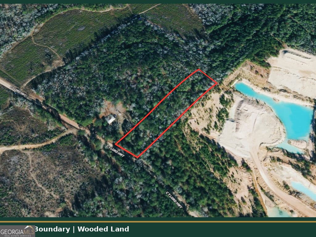 unimproved land for sale at 0 C T Lord Highway, Toomsboro, GA 31090 — photo 2