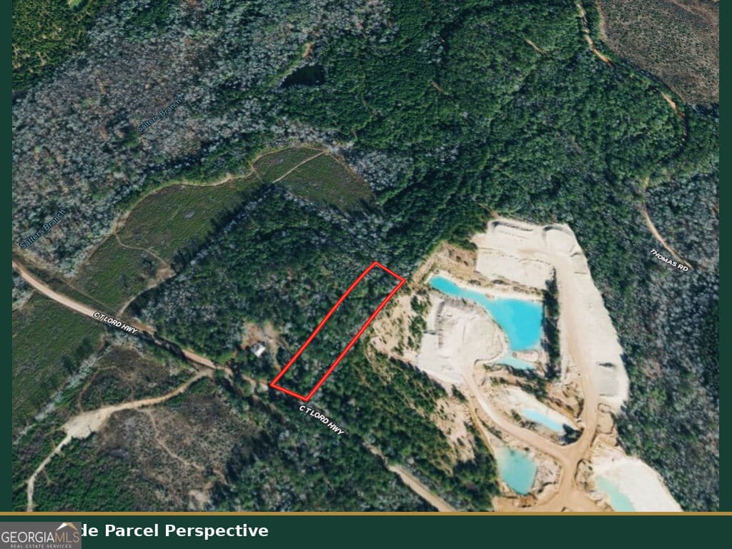 unimproved land for sale at 0 C T Lord Highway, Toomsboro, GA 31090 — photo 6