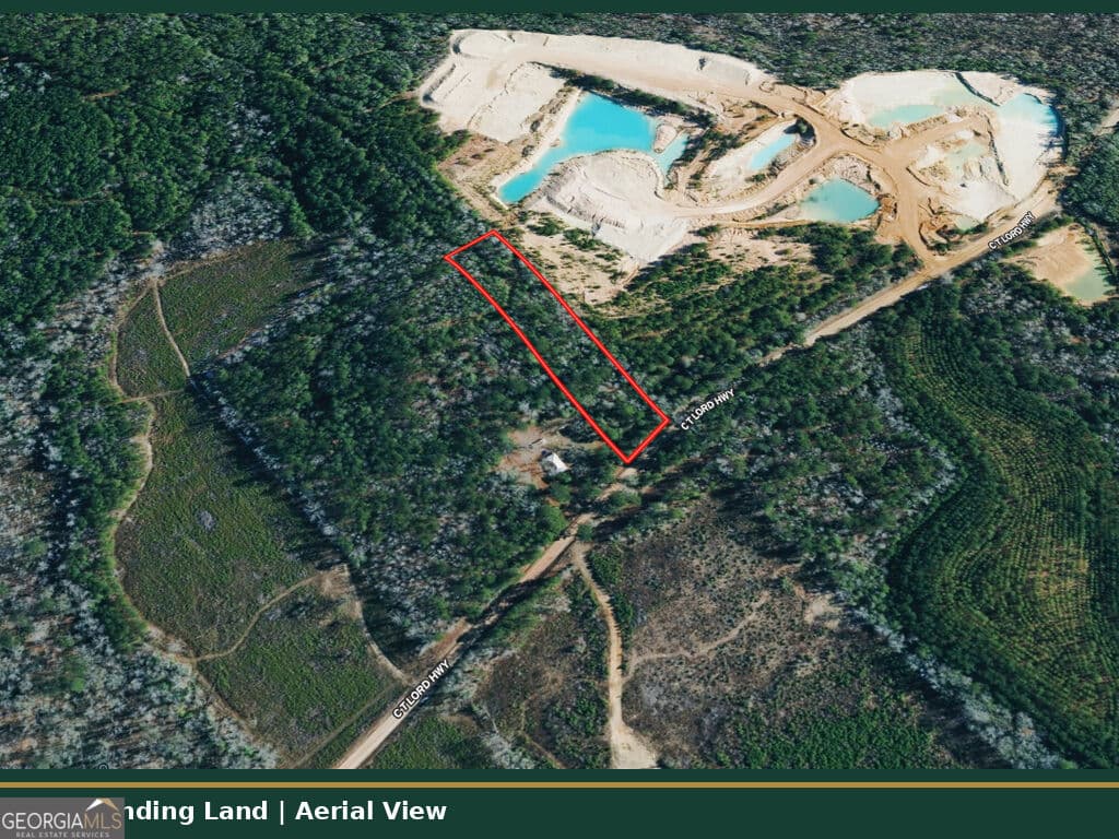 unimproved land for sale at 0 C T Lord Highway, Toomsboro, GA 31090 — photo 3