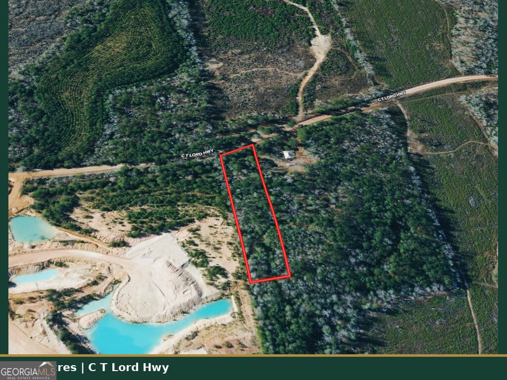 unimproved land for sale at 0 C T Lord Highway, Toomsboro, GA 31090 — photo 1 of 9