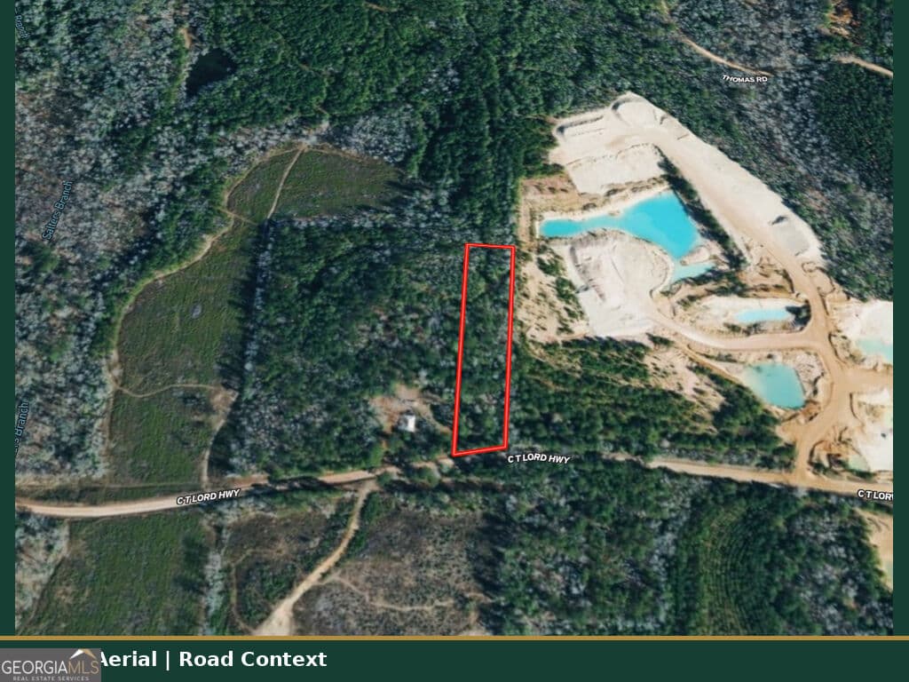 unimproved land for sale at 0 C T Lord Highway, Toomsboro, GA 31090 — photo 5