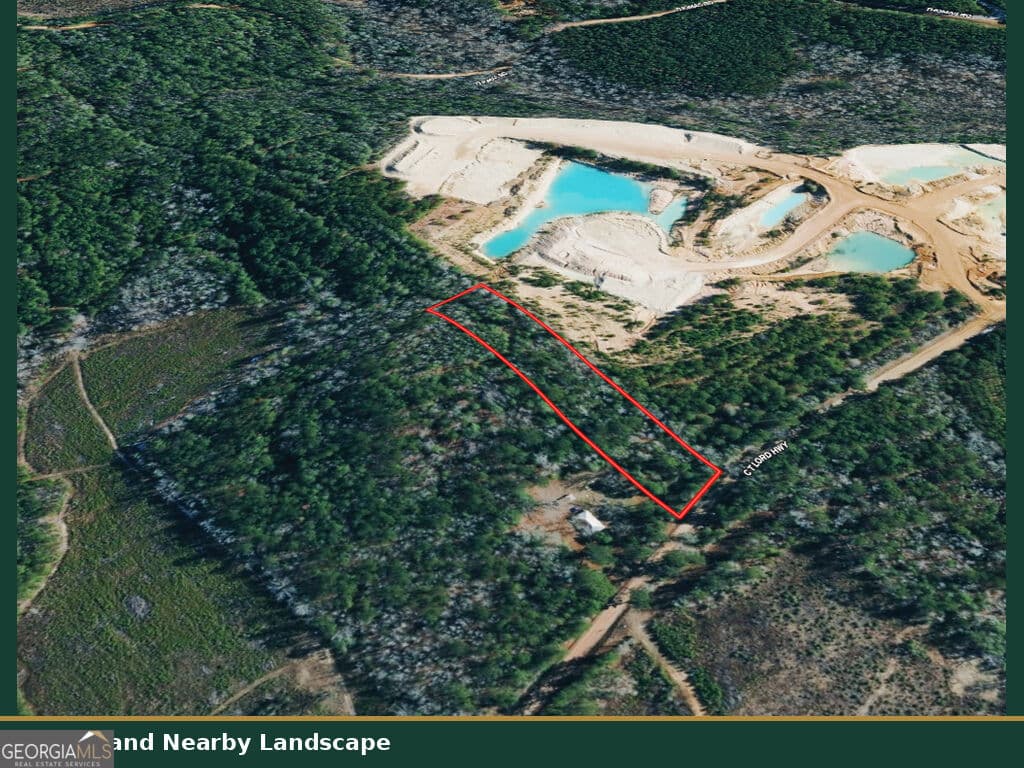 unimproved land for sale at 0 C T Lord Highway, Toomsboro, GA 31090 — photo 4