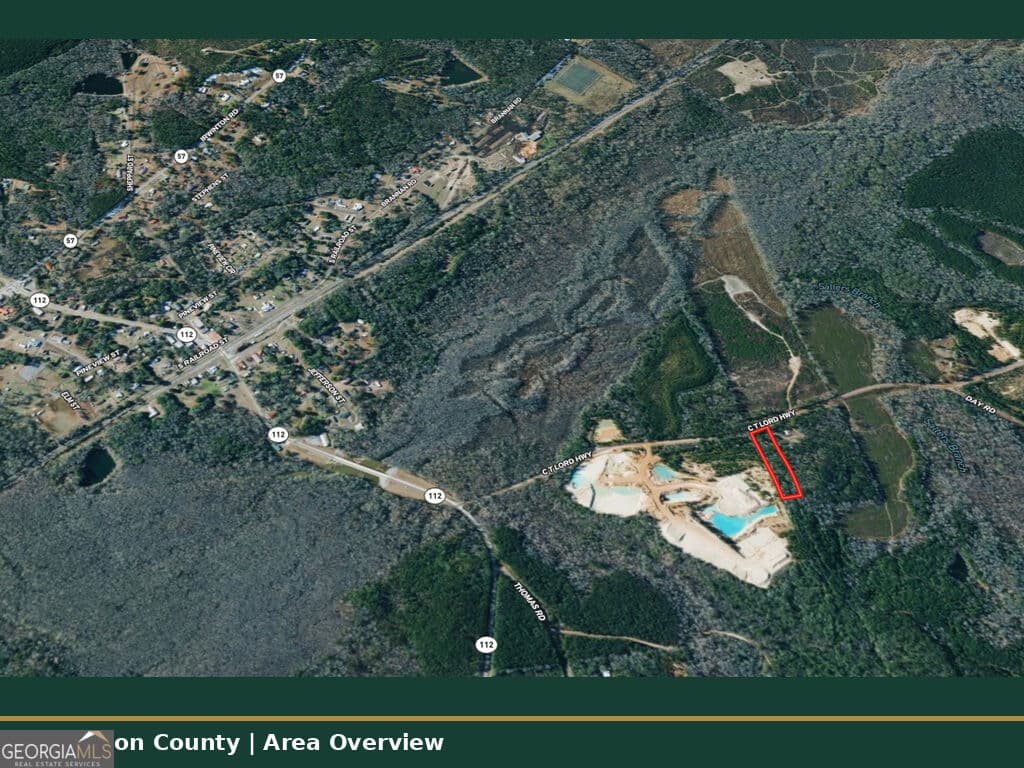 unimproved land for sale at 0 C T Lord Highway, Toomsboro, GA 31090 — photo 8