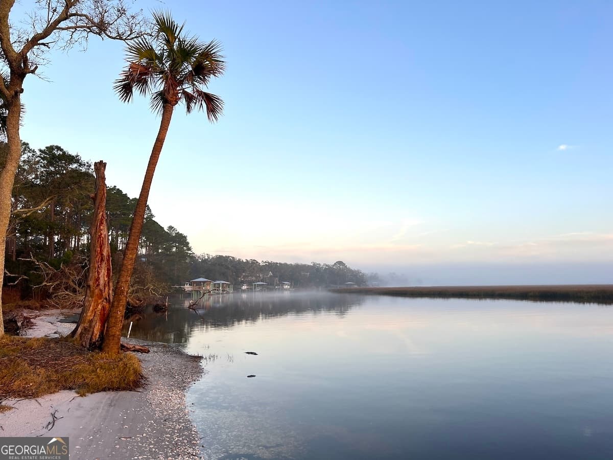 residential lot for sale at 120 Carousers Cove, St. Marys, GA 31558 — photo 5