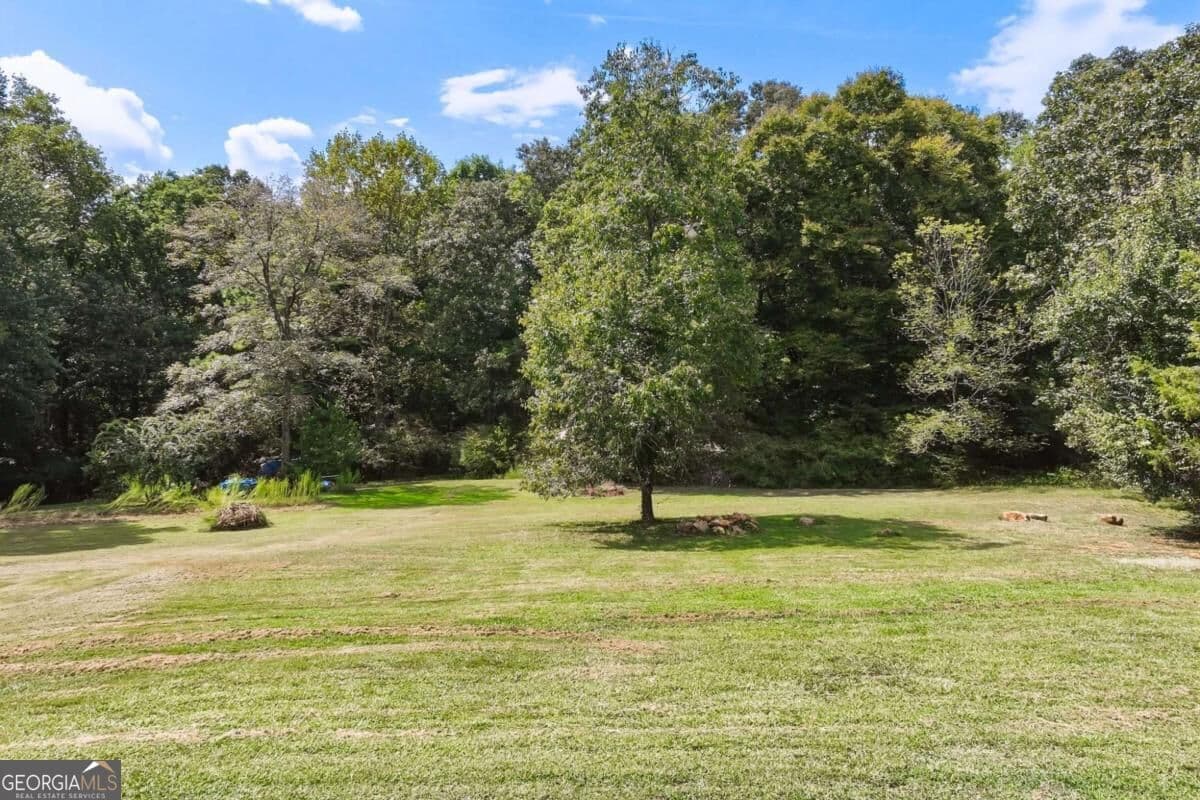 3 bedroom, 2 bathroom, 1,506 sq ft single family residence for sale at 323 Tallassee Lane, Statham, GA 30666 — photo 4