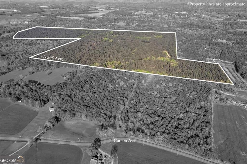 agriculture for sale at 205+ AC Maddron Road, Crandall, GA 30711 — photo 2