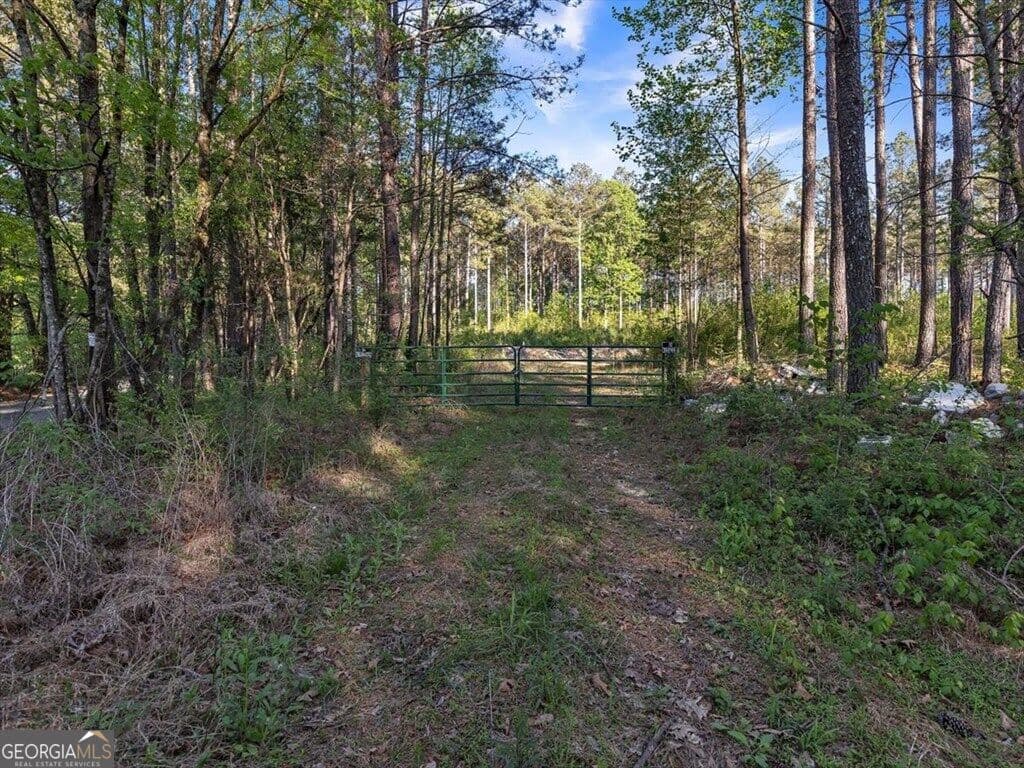 agriculture for sale at 205+ AC Maddron Road, Crandall, GA 30711 — photo 3
