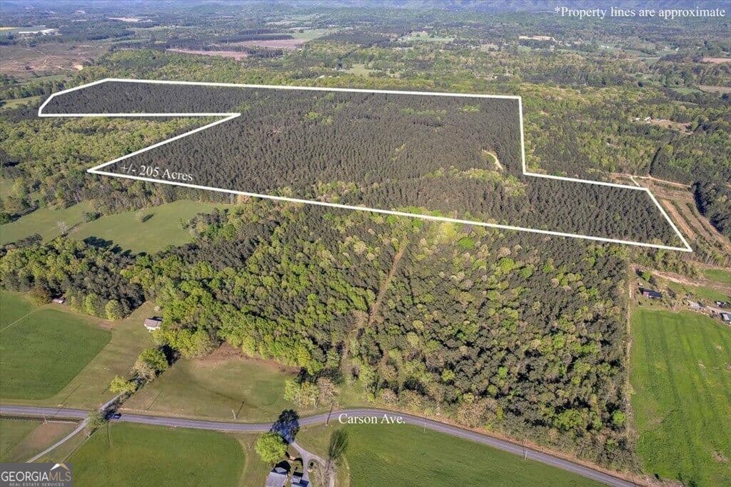 agriculture for sale at 205+ AC Maddron Road, Crandall, GA 30711 — photo 1 of 4