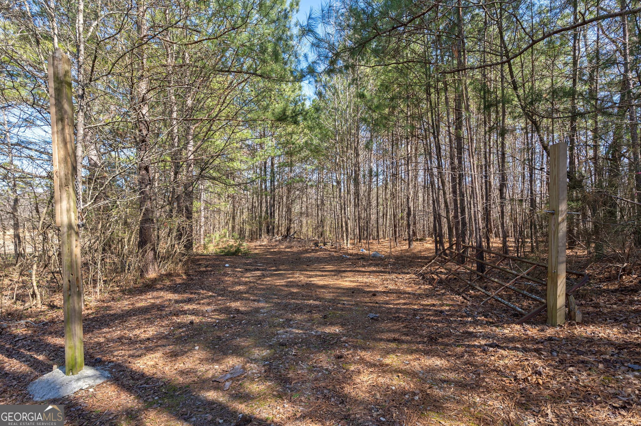 unimproved land for sale at 202 Kent Rock Road TRACT 4, Loganville, GA 30052 — photo 2