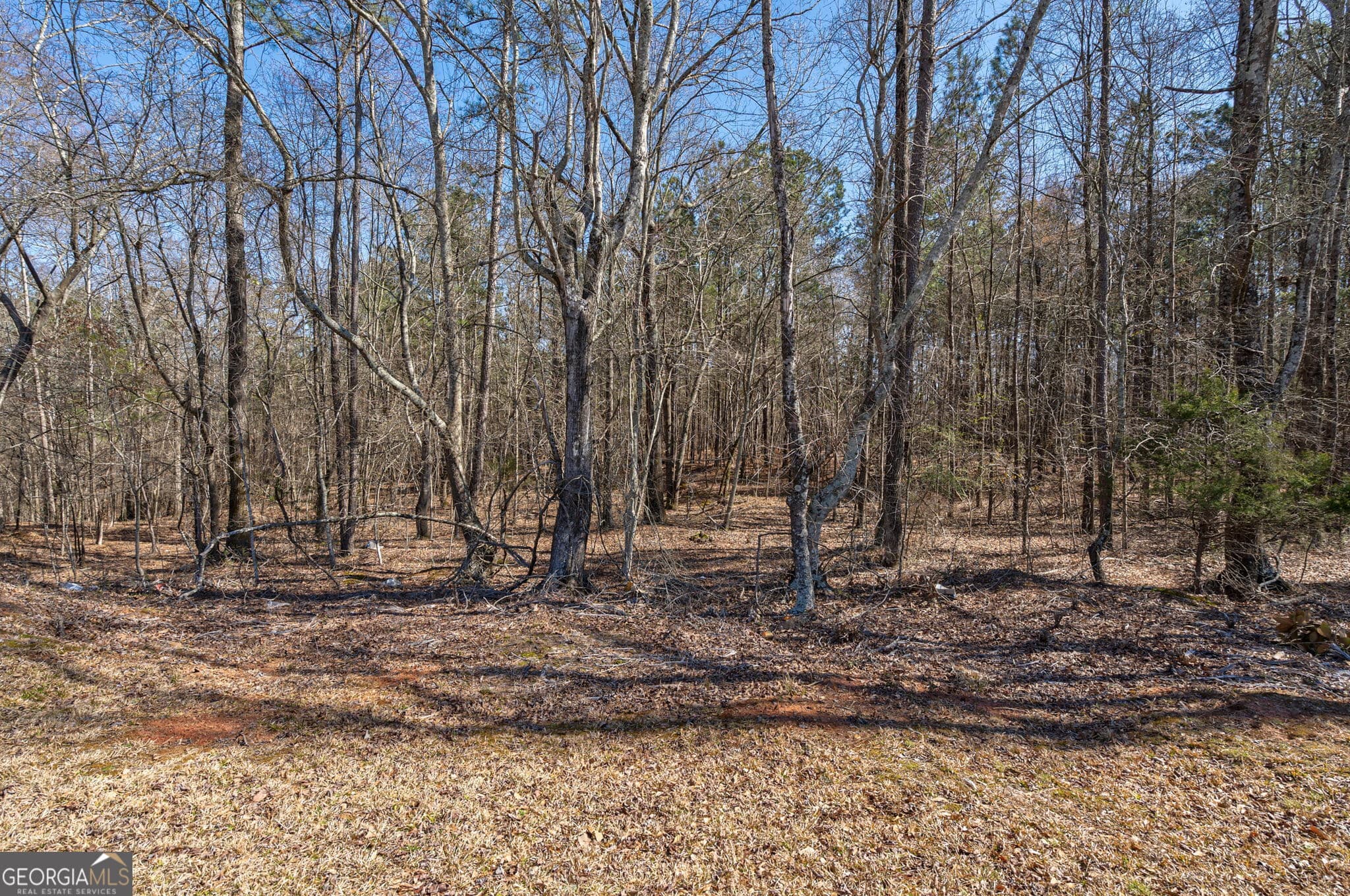 unimproved land for sale at 202 Kent Rock Road TRACT 4, Loganville, GA 30052 — photo 3