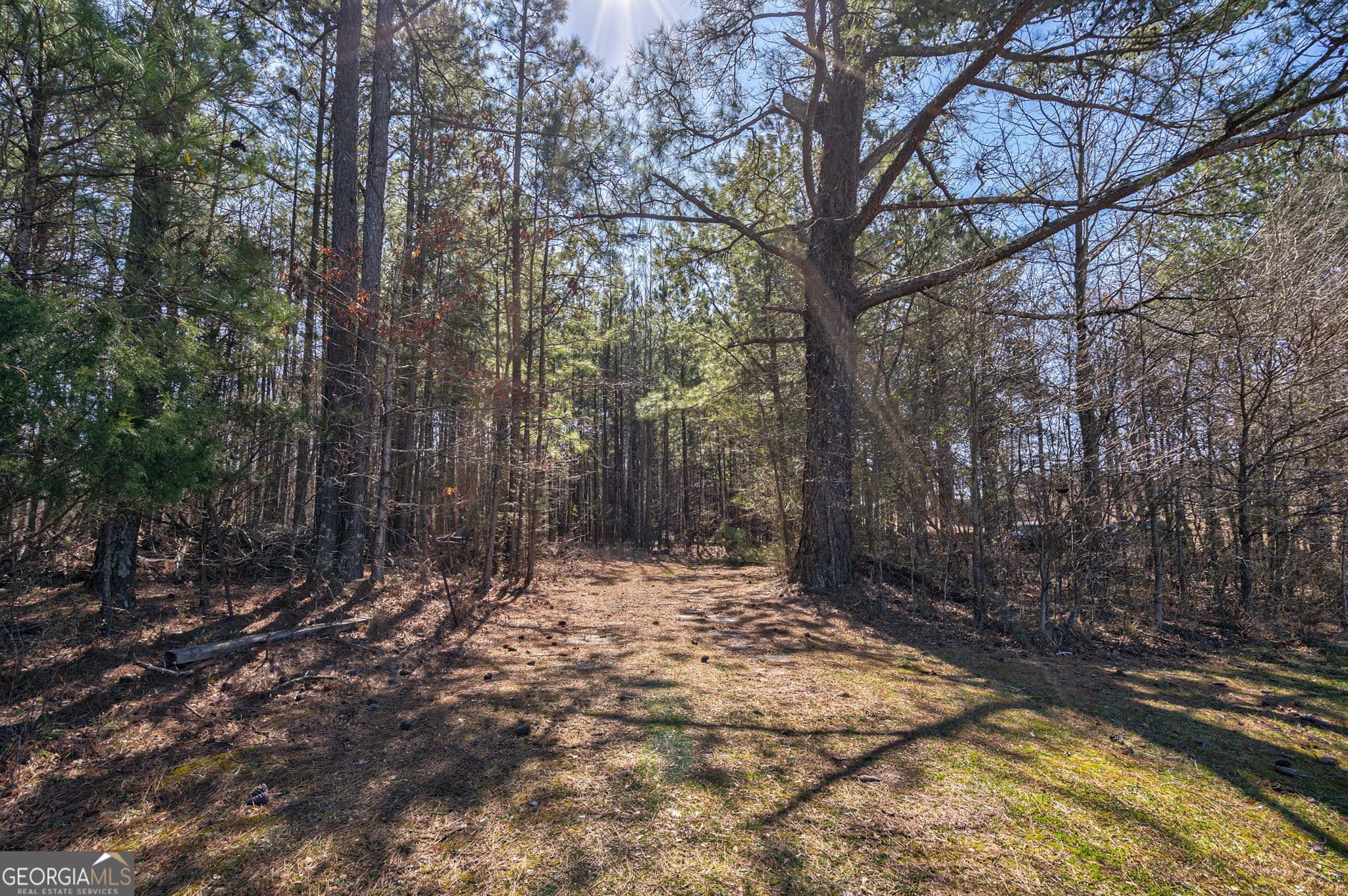 unimproved land for sale at 202 Kent Rock Road TRACT 4, Loganville, GA 30052 — photo 1 of 6