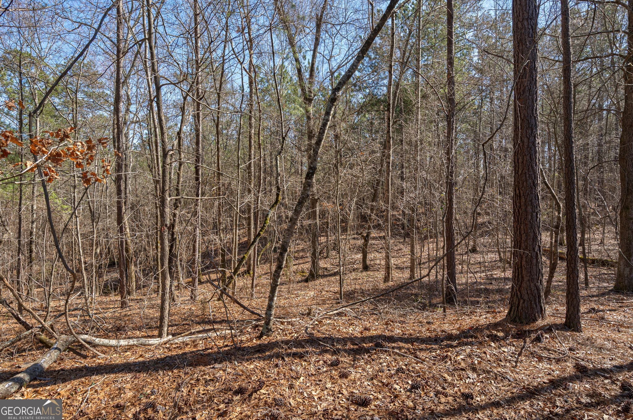 unimproved land for sale at 202 Kent Rock Road TRACT 4, Loganville, GA 30052 — photo 4